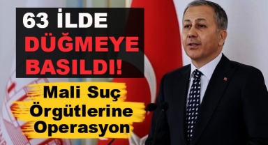 Mali Suç Örgütlerine Operasyon