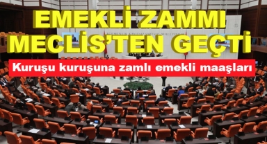 SSK ve Bağ-Kur Emeklisine Ek Zam Meclis'te Kabul Edildi