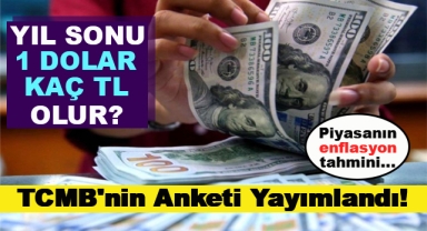 TCMB'nin Anketi Yayımlandı