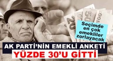 Ak Parti'yi Seçimde En Çok Emekliler Zorlayacak