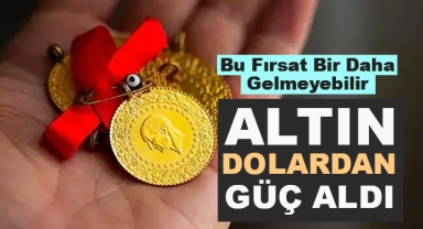 Altın Dolardan Güç Aldı