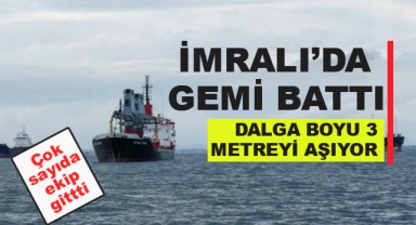 Dev Dalgalar Gemiyi Batırdı