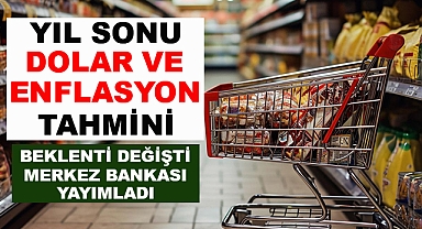 Dolar ve Enflasyon Tahmini Belli Oldu
