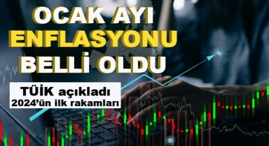Ocak Ayı Enflasyon Rakamları Açıklandı