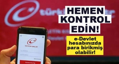 e-Devlet Hesabınızda Para Birikmiş Olabilir!