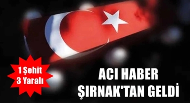 Acı haber Şırnak'tan geldi!