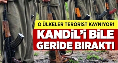 PKK Avrupa'ya Yuvalandı