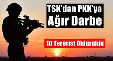 TSK'dan PKK'ya Ağır Darbe