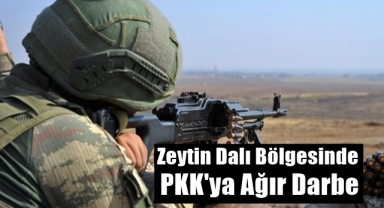 Zeytin Dalı Bölgesinde PKK'ya Ağır Darbe