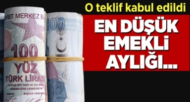 Emekli Maaşı Teklifi Kabul Edildi