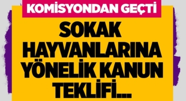 Sokak Hayvanları Teklifi Komisyondan Geçti
