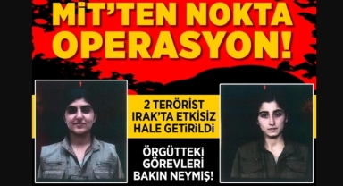 MİT'ten Hakurk Operasyonu