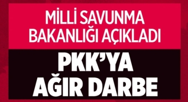 PKK'ya Ağır Darbe