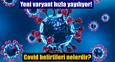 Yeni varyant hızla yayılıyor