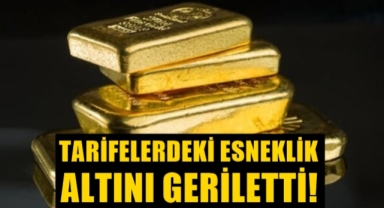 Tarife esnekliği altını geriletti