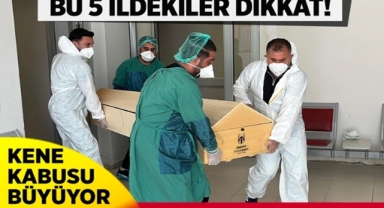 Kene 2 günde 3 kişiyi öldürdü!