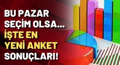 ORC Son anketini yayınladı