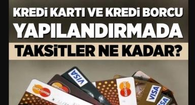 Kredi ve kredi kartlarına yapılandırma hakkı başladı