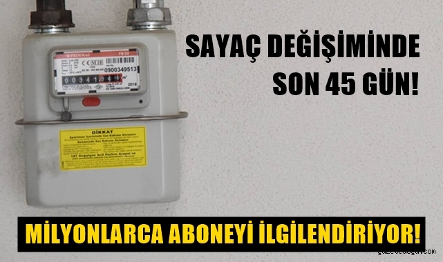 Doğal gaz sayaç değişiminde son 45 gün 