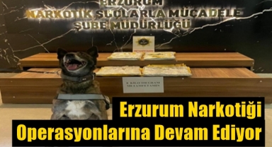 Erzurum narkotiği operasyonlarına devam ediyor