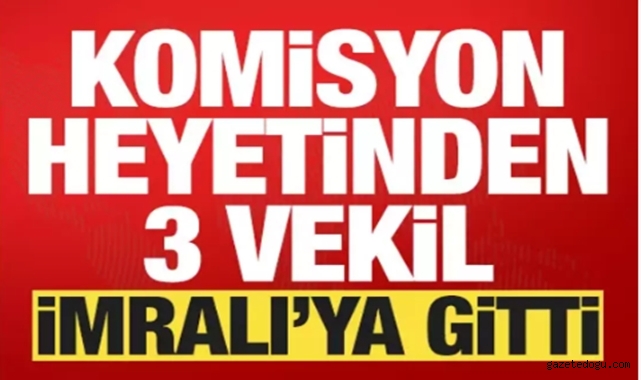 Komisyon heyeti İmralı'ya gitti