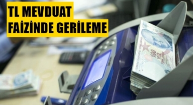 TL Mevduat faizinde gerileme