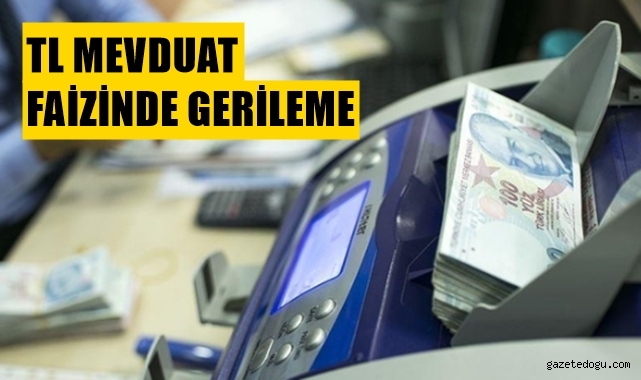 TL Mevduat faizinde gerileme