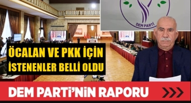 DEM Parti'nin raporu ortaya çıktı