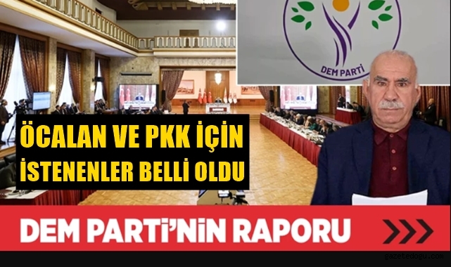 DEM Parti'nin raporu ortaya çıktı 