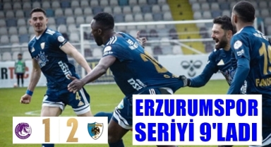 Erzurumspor seriye devam etti