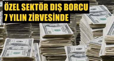 Özel sektör dış borcu 7 yılın zirvesinde