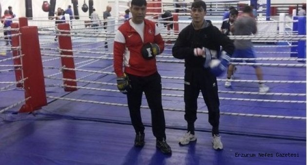 Ahmet Otcu, Avrupa Şampiyonasında