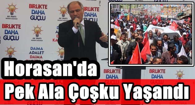 Ala 'Artık Analar Ağlamasın' Dedi