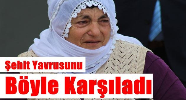 Ateş Bu Kez Karaçoban'a Düştü