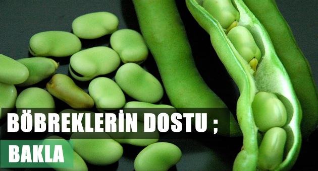 Bakla'nın Böbreklere Faydası