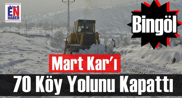 Bingöl'de Mart Ayı Şaşkınlığı