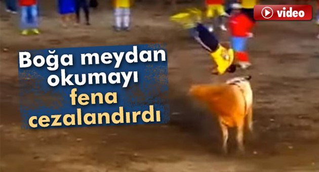 Boğaya Meydan Okumanın Acı Sonu!