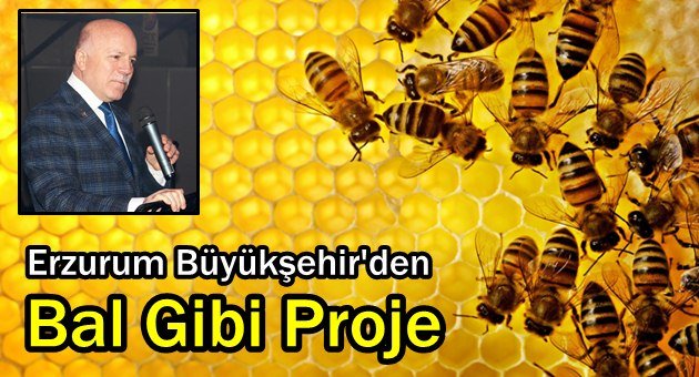 Büyükşehir Erzurum'u Ballandırıyor