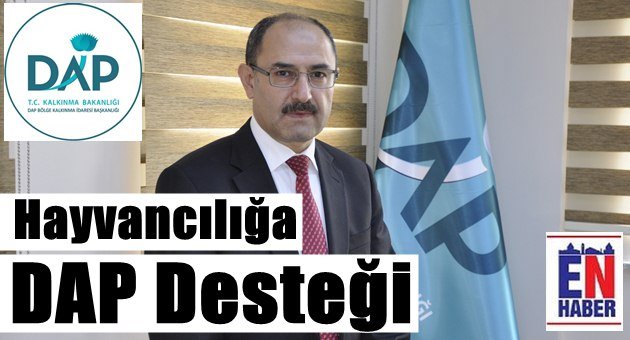 DAP'dan Hayvancılığa Büyük Destek
