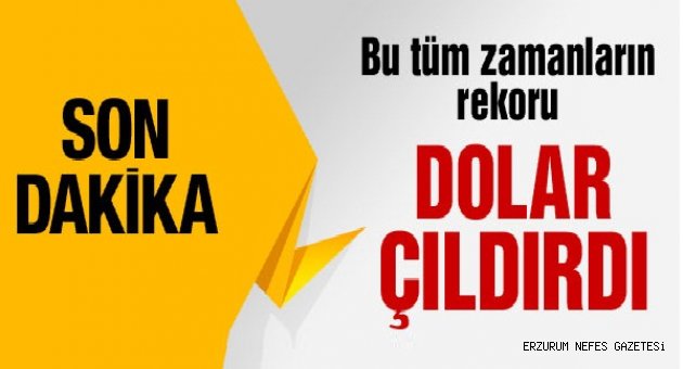 Dolar Adeta Çıldırdı