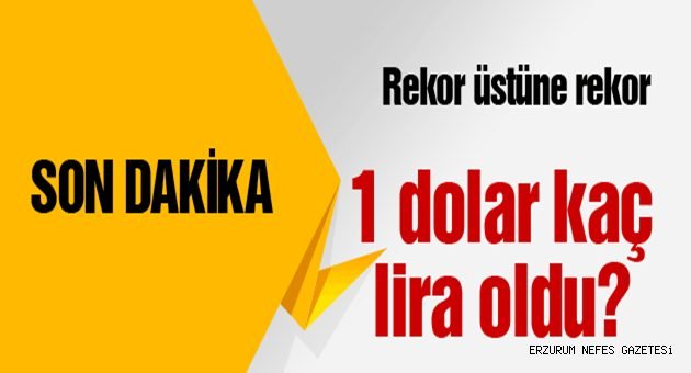 Dolar Nereye Gidiyor?