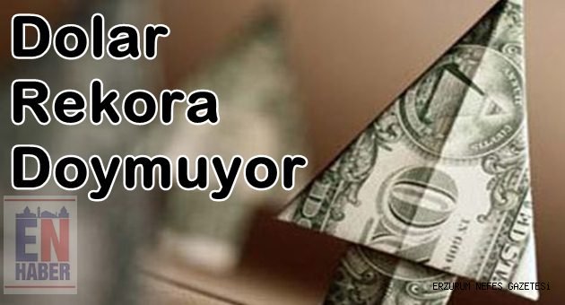 Dolar Yine Uçuşa Geçti