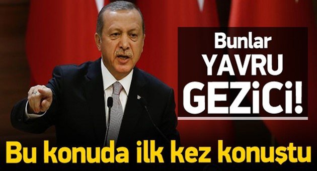 Erdoğan Cerrattepe İle İlgili Konuştu
