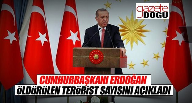 Erdoğan Öldürülen Terörist Sayısını Açıkladı