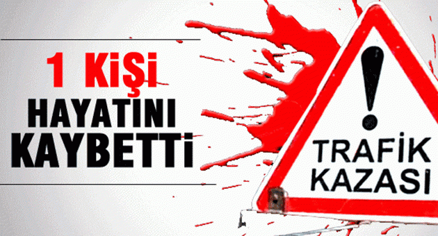 Erzurum'da Trafik Kazası Can Aldı
