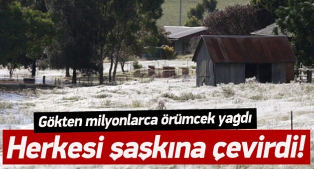 Gökten Yağan Örümcekler