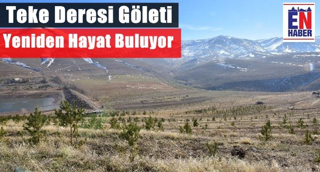 Gölet Çevresine 5 Bin Fidan