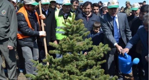 Gönül Elçileri Bereket Ormanında