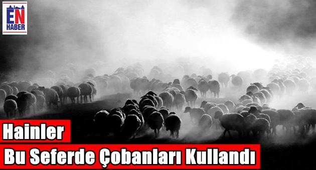 Hainler Bu Seferde Çobanları Kullandı