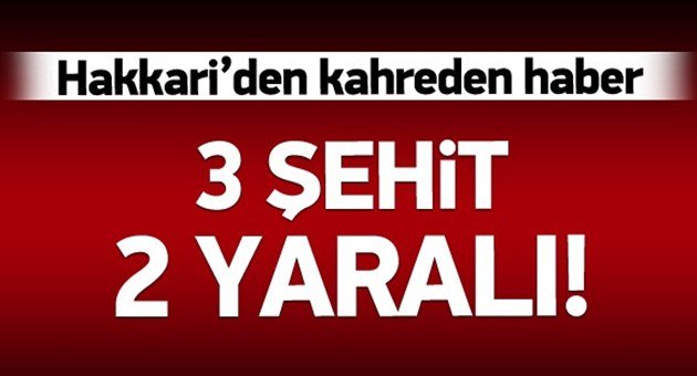 Hakkari'den Bir Acı Haber Daha